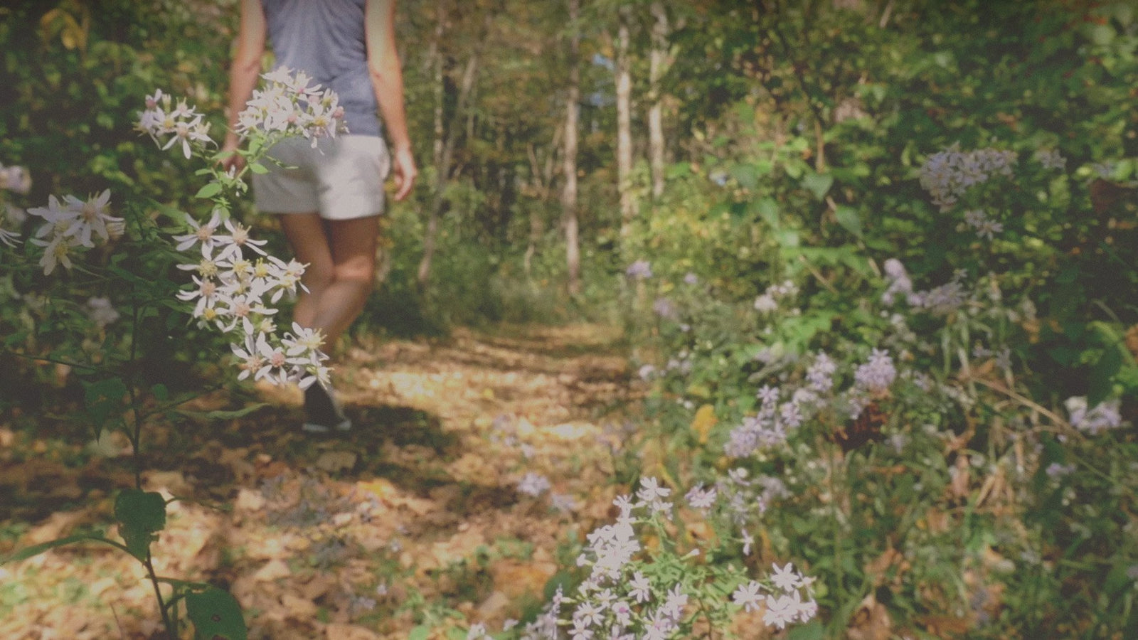 Anne's Journey to Empowerment