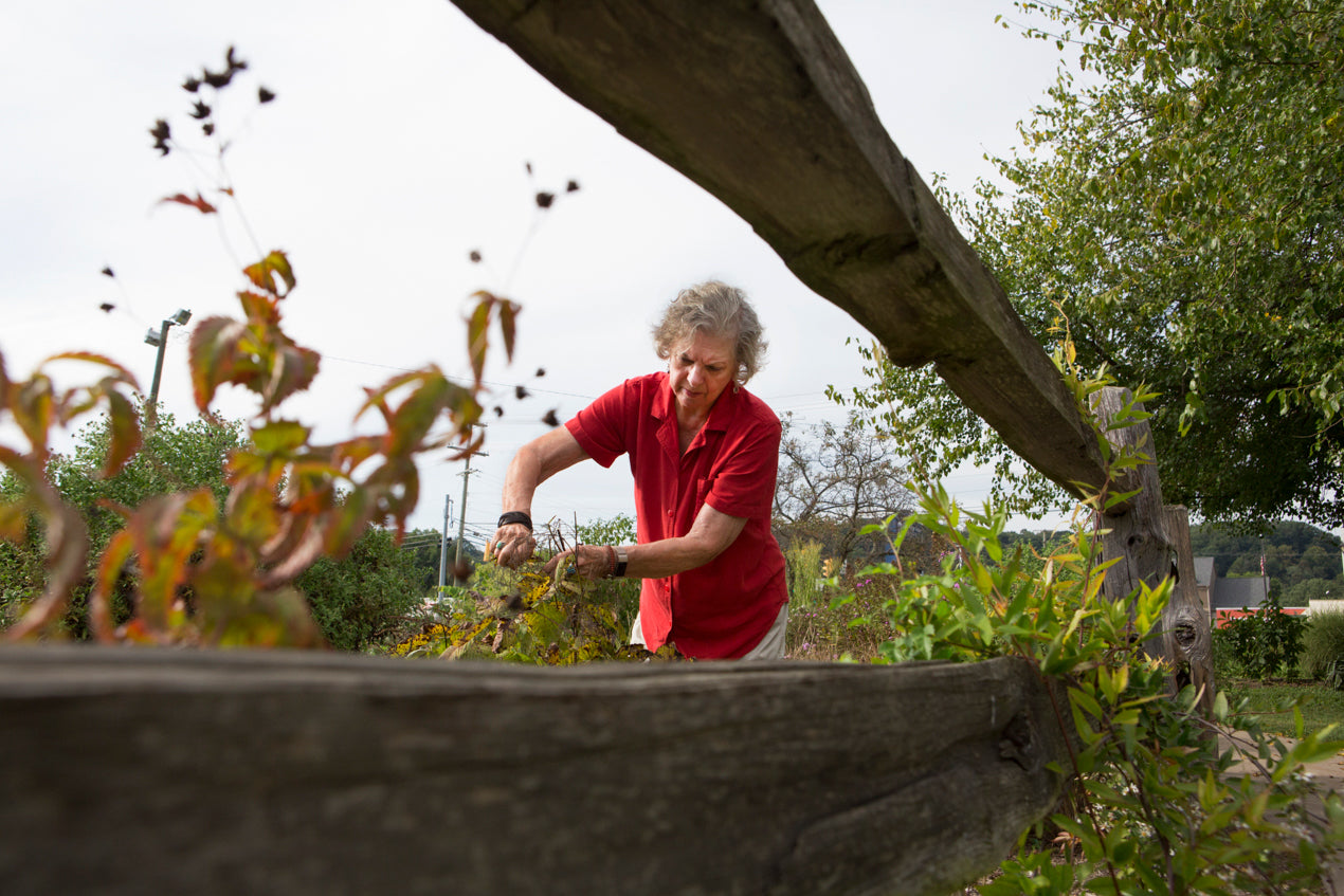 The Different Types of Local Spread