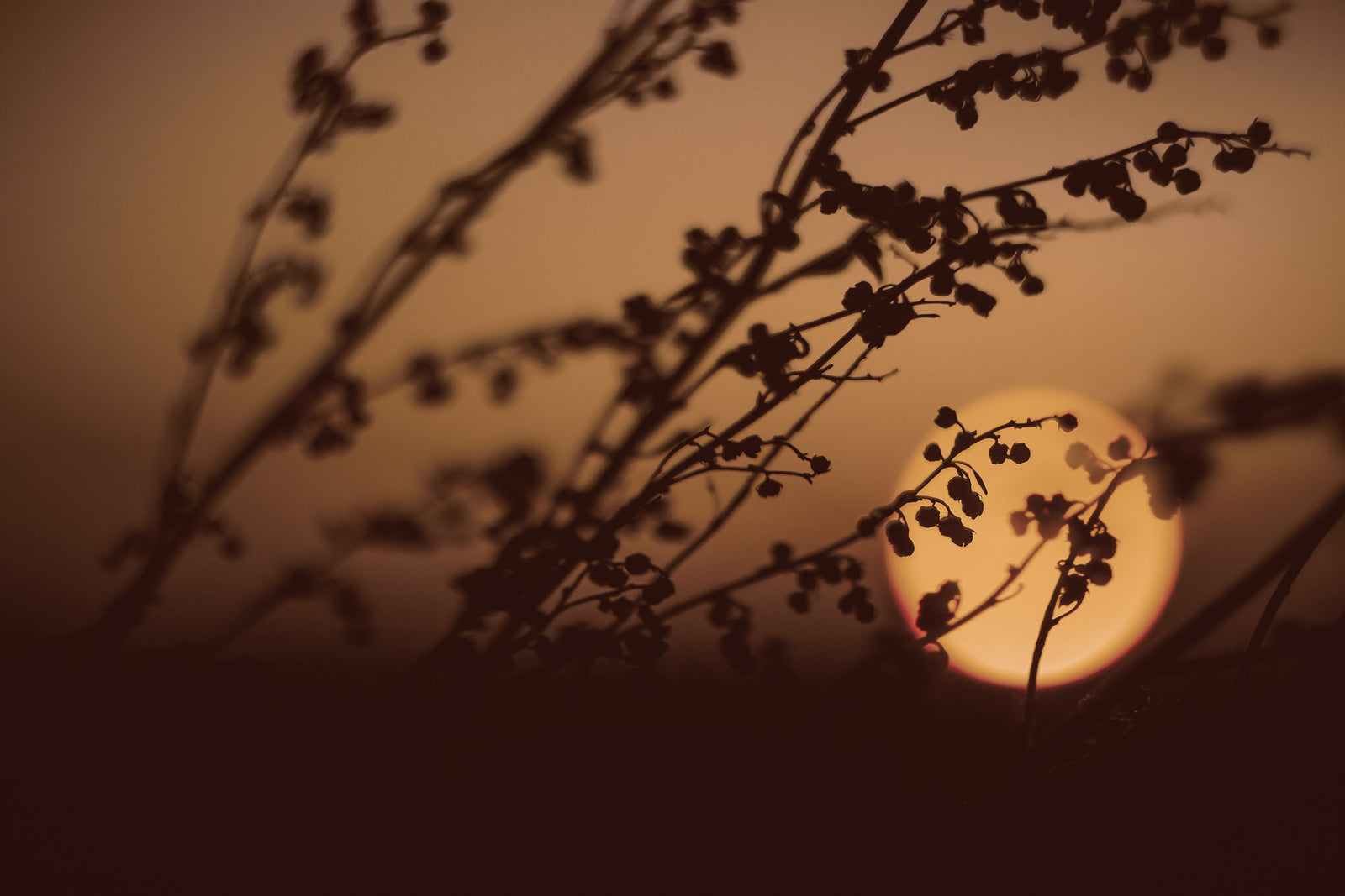 Guest Post: 4 Things I Learned Because of My Father’s Cancer Experience