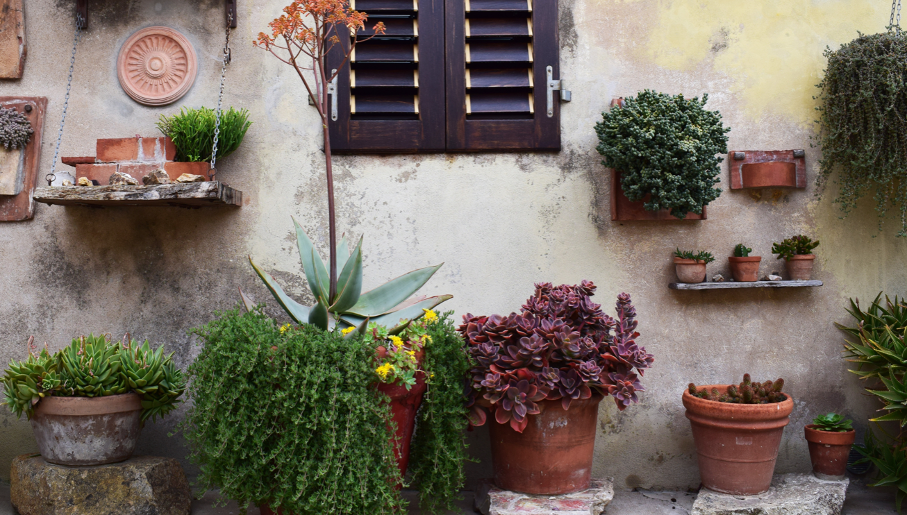 breast cancer high risk