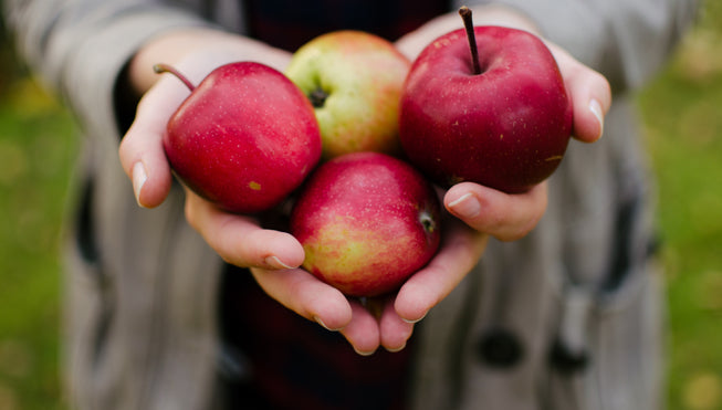 breast biopsy basics