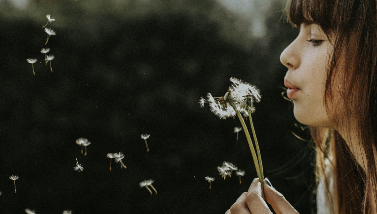 how is cancer like a dandelion