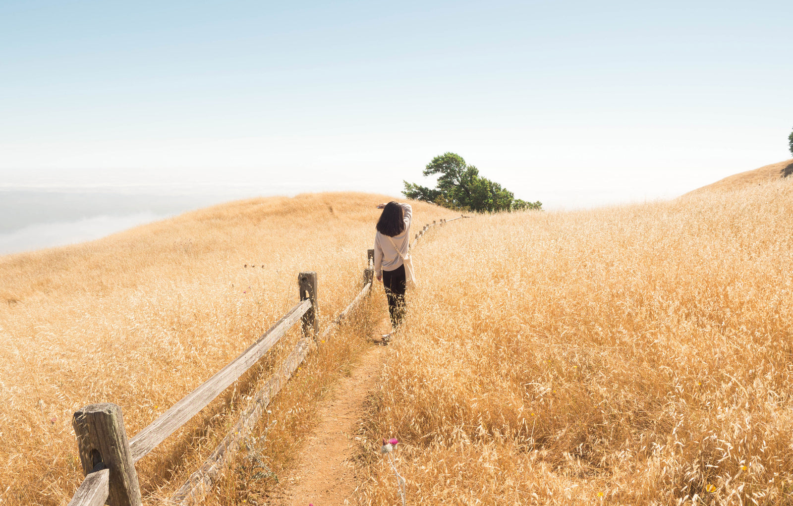 breast self-exams aren't good enough