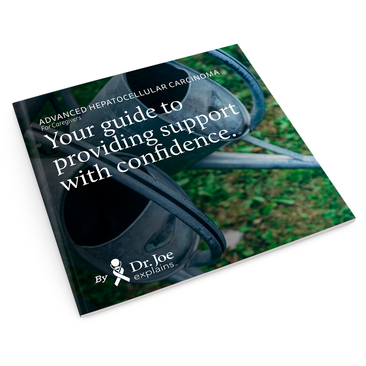 caregiver guide advanced hcc booklet